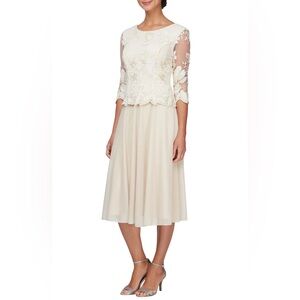 ALEX EVENINGS Illusion Sleeve Embroidered Dress
